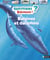Questions réponses 7+ : baleines et dauphins