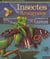 Insectes et araignees