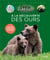 A la découverte des ours