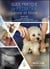 Guide pratique de pediatrie feline et canine