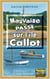 Mauvaise passe sur l'île Callot