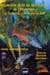 Découverte de la vie sous-marine de l'atlantique, de la manche et de la mer du nord - poissons, crustacés, invertébrés...- guide d'identification