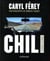 Mon Voyage Au Chili