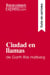 Ciudad en llamas de Garth Risk Hallberg (Guia de lectura) : Resumen y analisis completo