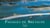 media/pim/TITELIVE/38_9782812313745_1_75.jpg