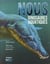 Nous, dinosaures aquatiques
