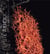 Lydie Arickx : arborescences