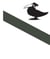 Les oiseaux sont des cons