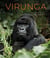 Virunga : 100 années d'un Parc d'exception