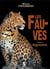 LES FAUVES REGRESSION T01