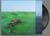 Bright Green Field