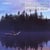 The Sibelius edition: orchestral works /vol.8