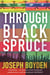 Through black spruce
