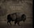 This land an american portrait /anglais