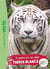 The wild immersion Tome 18 : Expédition au pays des tigres blancs