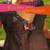 Broches fantaisie - mon look à moi