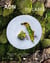 ADN : Ducasse