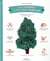 Les arbres c'est pas sorcier - guide illustré pour connaître et aimer les arbres