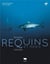 Requins et raies : regards croisés