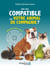 Êtes-vous compatible avec votre animal de compagnie ? quel duo formez-vous ?