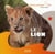 Le lion