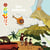 Mes p'tits docs : les volcans