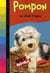 Pompon - le chiot fripon