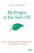 Hydrogen is the new oil - how 7 energy battles are giving birth to a carbon-free world