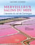 Merveilleux Salins du Midi