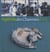 Agenda des Charentes 2011