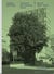 Andrea helbling /allemand
