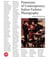 Panorama of contemporary italian fashion photography