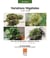 Variations vegetales - jeux de feuilles pour creations vertes