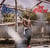 The documentary 2.5