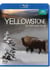 Yellowstone, la lutte pour la vie