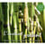 Instant présent - CD