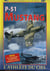 P-51 Mustang