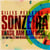 Sonzeira brasil bam bam bass