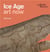 Ice age art now