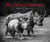Blood moon : rhino rescue