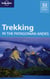 Trekking in the pathagonian andes 4ed -anglais-