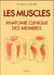 Les muscles - anatomie clinique des membres