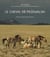 Le cheval de przewalski