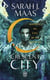 Crescent city Tome 2 : Maison du ciel et du souffle