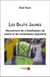 Les gilets jaunes - mouvement de cristallisation de colère et de contestation populaire