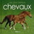 Les plus beaux chevaux