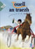 Touell an Traezh