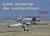Les avions de collection en images
