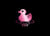 Confessions d'un canard sex-toy - coffret t.1 et t.2