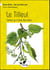 Le tilleul - l'arbre qui tisse des liens